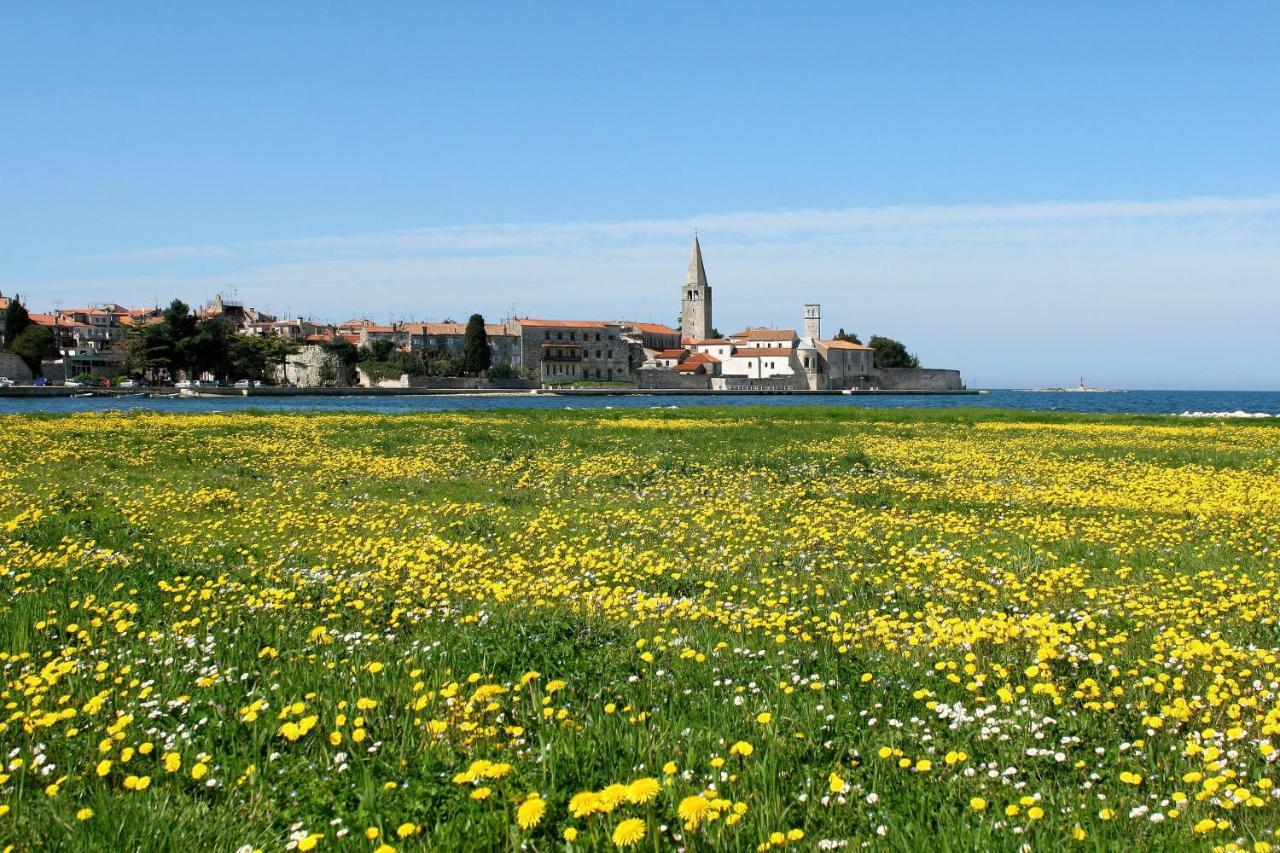 Villa Vita In Porec - Haus Fuer 6-8 Personen Kaštelir 외부 사진